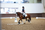 SBM_000853