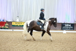 SBM_000709