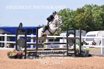 BPP_1647