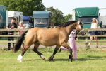 SBM_02189
