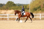 SBM_018594