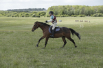 BVHT 140517  IXC -872