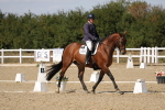 SBM_022501