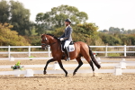 SBM_016975