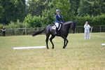 WJ6_5749