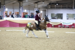 SBM_10476