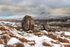 Snowy Ingleborough