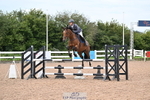 Cls 20 A&B Pony Newc & 1.00m Opem portfolio