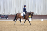 SBM_000334