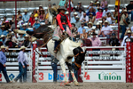 3HRodeo7-20-24_CFD_5126_