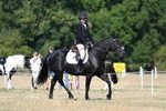 WJ7_9467