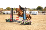 SBM_007164