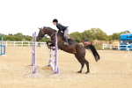 SBM_006331