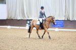 SBM_000033