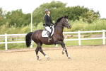 SBM_007045