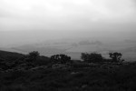 EXM_ 009 B/W
