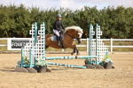 SBM_006466