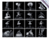 SILVER with Distinction - Rosemary Morris - NZIPP Iris Awards 2014 - P
