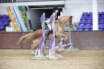 SBM_000981