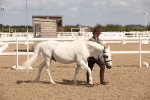 SBM_03804