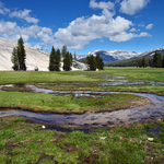 Tuolumne Meadows - Yosemite National Park