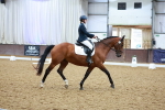Indoor Arena - 29-8-26 portfolio