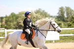 SBM_000531