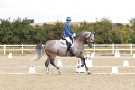 SBM_004255