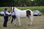 WJ6_5556