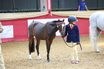 SBM_03006