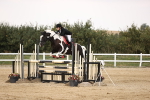 SBM_04239