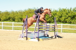 SBM_001581