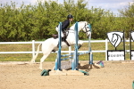 SBM_002580