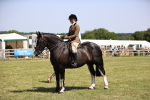 SBM_17878