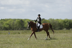 BVHT 140517 -216