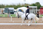 SBM_00293