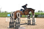 Cls 1 British Novice and 90cm portfolio