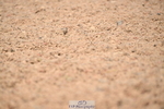 240621A-135836-04196