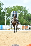 Cls 37 + 42 FEI PSG + GP portfolio