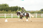 SBM_008658