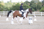 SBM_014458