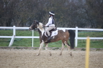 SBM_003944