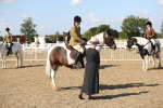 SBM_03236