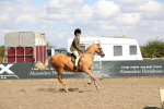 SBM_03329