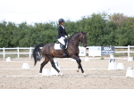 SBM_015904