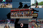 Chris Birkle Collage 2-UPDATED Version 2