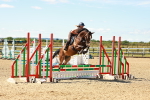 SBM_005205