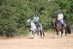 WJ6_7777