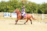 SBM_002269
