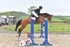 BPP_8734